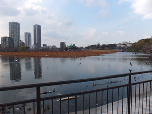 DSCF0252.jpg