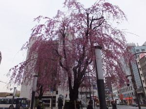 DSCF0350.jpg