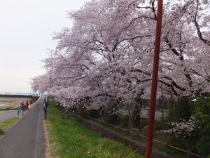 DSCF0365.jpg