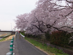 DSCF0367.jpg