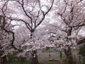 DSCF0368.jpg