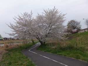 DSCF0380.jpg