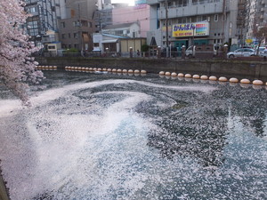DSCF0415.jpg
