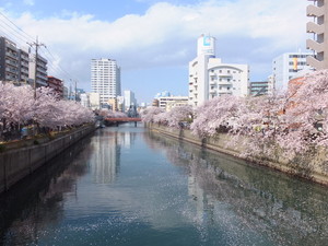 DSCF0422.jpg