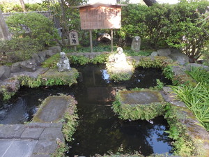 DSCF0488.jpg