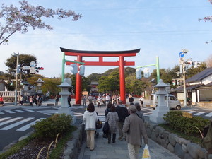 DSCF0520.jpg