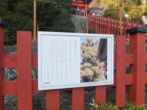 DSCF0526.jpg