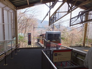 DSCF0623.jpg