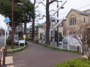 DSCF4497.jpg
