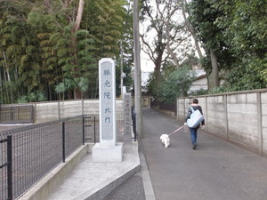DSCF4518.jpg
