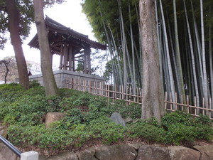 DSCF4524.jpg