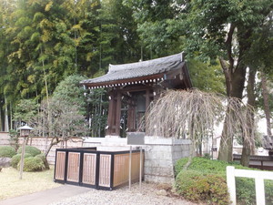 DSCF4526.jpg