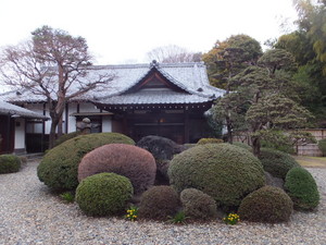 DSCF4528.jpg