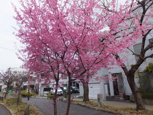 DSCF4554.jpg