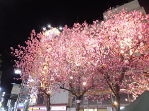 DSCF4589.jpg