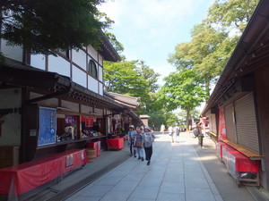 DSCF6280.jpg