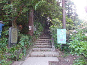 DSCF6287.jpg
