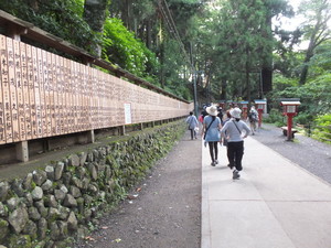 DSCF6295.jpg