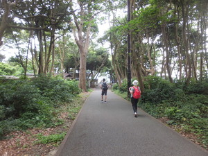 DSCF6323.jpg