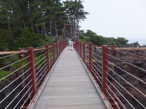 DSCF6332.jpg