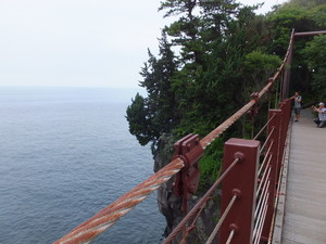 DSCF6334.jpg