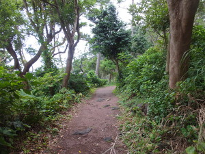 DSCF6342.jpg