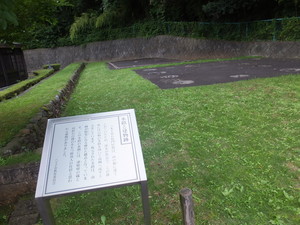 DSCF6511.jpg