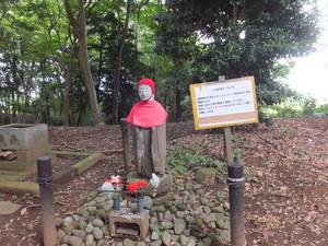 DSCF6530.jpg