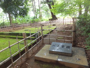 DSCF6531.jpg