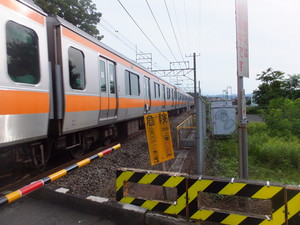 DSCF7789.jpg