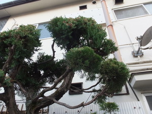 DSCF8702.jpg