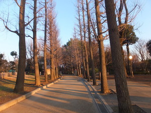 DSCF8705.jpg