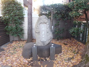 DSCF8964.jpg