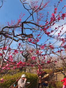 DSCF9454.jpg