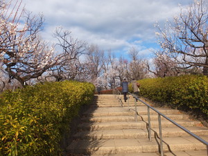 DSCF9456.jpg