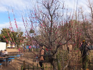 DSCF9462.jpg