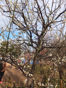 DSCF9464.jpg