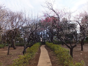 DSCF9472.jpg