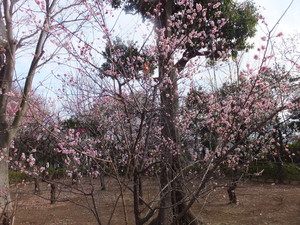 DSCF9473.jpg