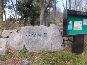 DSCF9728.jpg