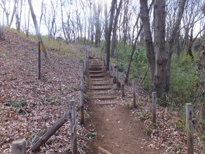 DSCF9751.jpg