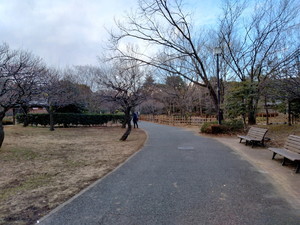 IMG20230130160405.jpg