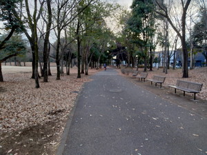 IMG20230130161550.jpg