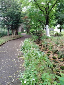 IMG20240430125216.jpg