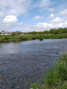 IMG20240430131059.jpg