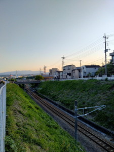 IMG20240504180429.jpg