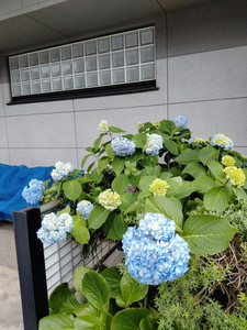 IMG20240529114225.jpg