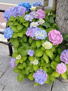 IMG20240606131732.jpg