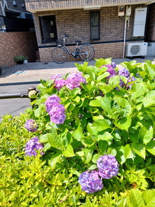 IMG20240612133904.jpg