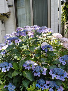 IMG20240612133920.jpg